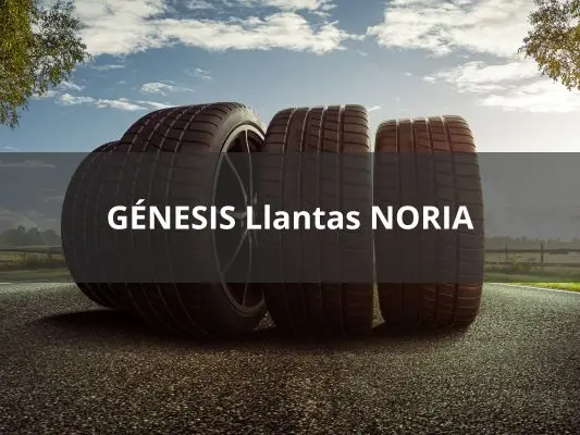 GÉNESIS Llantas NORIA