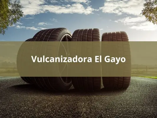 Vulcanizadora El Gayo